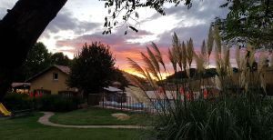 20200830 203918  Copie  Copie  Copie